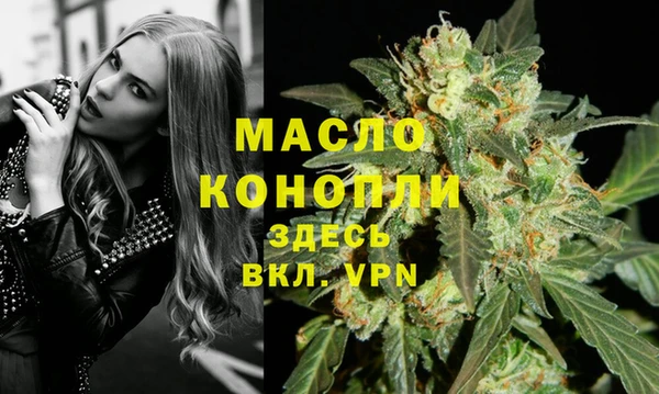 индика Зеленодольск