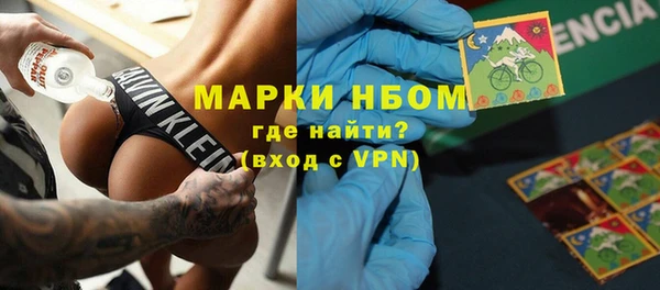 индика Зеленодольск