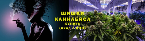 индика Зеленодольск