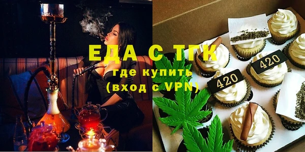 индика Зеленодольск