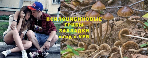 индика Зеленодольск