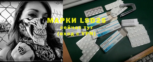 индика Зеленодольск