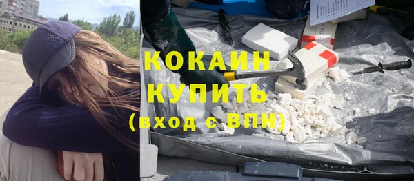стафф Дрезна