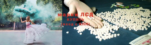 ПСИЛОЦИБИНОВЫЕ ГРИБЫ Дубна