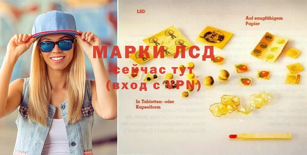индика Зеленодольск
