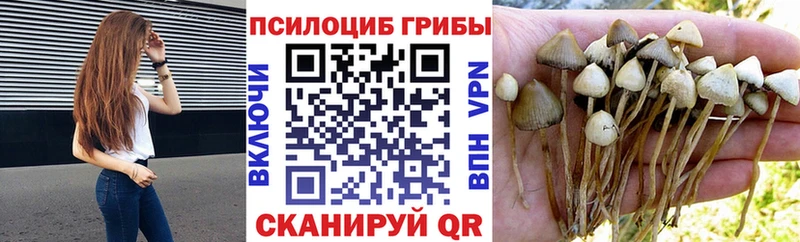цена   Инта  ОМГ ОМГ рабочий сайт  Галлюциногенные грибы ЛСД 